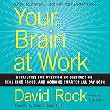 Your Brain at Work: Strategies for Overcoming Distraction, Regaining Focus, and Working Smarter All Day Long