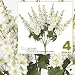 FOUR 26" Delphinium Artificial Flower Bushes in Cream Green for home or wedding decoration