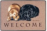 Eigenschaften Otter House  / Labrador Duo (Yellow & Black - gelb und schwarz) - Indoor Mat - Fußabstreif...