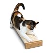 RASCADOR COMBINADO BOOTSIES de SMART CAT