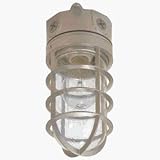 Cooper Lighting VT100G Haymow Utility Light