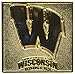 Fan Brand 10126 University of Wisconsin Badgers Zinc Alloy Grilling Brander