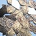 Sequin Gold Brown Snakeskin Reptile Print Pattern Long Diamond 1.75 inches Couture Loose Paillette Sequins