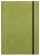 Green Lizard Leather Journal, Elastic Closure, Ruled Pages, Hard Cover. 5x7"