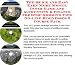 The Quick and Easy Earn More Money, Inner Game and Accounting & Finance for Stop Smoking Tips On-line Businesses 3 Course Pack