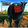 Dude Ranch