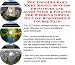 Book The Insider's Earn More Money, Success Principles and Accounting & Finance for Wedding Gowns On-line Businesses 3 Course Pack
