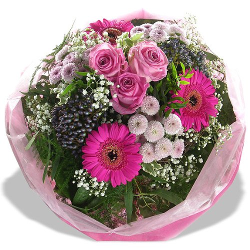 http://ecx.images-amazon.com/images/I/61LG9lPpUgL.jpg