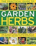 The Practical Guide to Garden Herbs: How to Identify, Choose and Grow Herbs with an A-Z Directory and More Than 730 Photographs