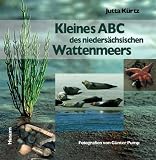Kleines ABC des nieders&auml;chsischen Wattenmeers - Jutta K&uuml;rtz