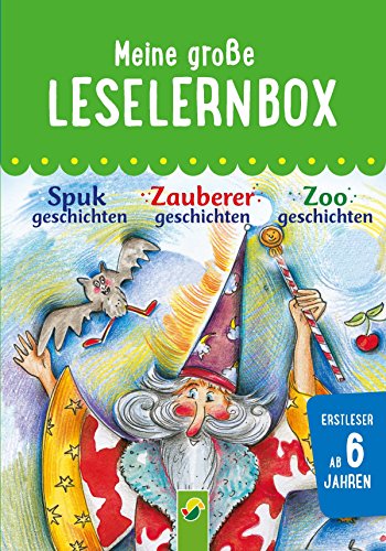 Meine große Leselernbox: Spukgeschichten, Zauberergeschichten, Zoogeschichten: Mit 3 Lesestufen (Leselernbuch) (German Edition)