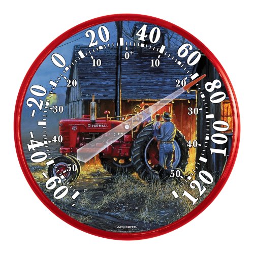 Chaney Instrument 12.5 Inch Indoor/Outdoor Thermometer, Starting Them Young