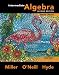 Intermediate Algebra (softcover) Media Update