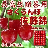 ご予約受付開始！【贈答用・大粒】山形県東根産秀選さくらんぼ佐藤錦Ｌ・ＬＬ５００グラム　6月中旬～7月上旬出荷予定《常温発送》