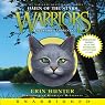 Fading Echoes: Warriors: Omen of the Stars, Book 2