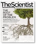 The Scientist Magazine August 2011+Ecosystem Responses to Climate Change+A Guide to Free Phylogenic Software+Neuronal Somatic Mutations+The Gut Microbiome and Cancer+Deconstructing the Mosaic Brain+Cancer Cells Eating Cells...more