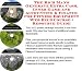 The Rich Man's Generate Extra Cash, Inner Game and Accounting & Finance for Fitness Equipment Web Biz 3 Course + Resource Guide