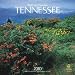 Wild & Scenic Tennessee 2010 Wall Calendar