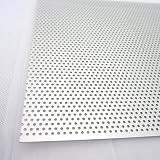 アルミパンチング 100×200A‐8