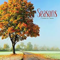 Trends International 2017 Wall Calendar, September 2016 - December 2017, 11.5 Trends International 2017 Wall Calendar, September 2016 - December 2017, 11.5