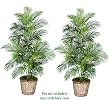 TWO 5' Artificial Areca Palm Trees