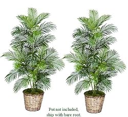 TWO 5' Artificial Areca Palm Trees