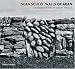 Sean Scully: Walls of Aran