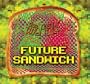 Future Sandwich (Dig)