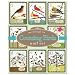 Eeboo Counting Birds Wall Cards