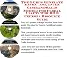 The Guru's Generate Extra Cash, Inner Game and Sales Models for Floral Crafts Web Biz 3 Course + Resource Guide