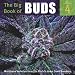 The Big Book of Buds Volume 4: More Marijuana Varieties from the World's Great Seed Breeders