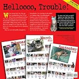 Bad Cat 2013 Wall Calendar