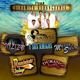 Sin Tu Amor (Duranguense Version)