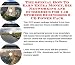 Book The Special How To Earn Extra Money, Biz Networking and eCommerce for Car Stereos Businesses 3 CD Power Pack