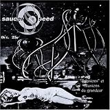 delusions et illusions du grandeur by saucer seed