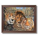 African Phases Cat Lion Tiger Animal Wildlife Home Decor Wall Picture Cherry Framed Art Print