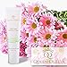 Queen Odelia Nourishing Foot Cream with Cactus Oil and Dead Sea Mineral, 4 oz. - Non-Sticky Foot Lotion - Protect, Nourish and Moisturize Your Feet