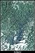 Lake Sidney Lanier, Georgia satellite map poster print photor: 24"x36" glossy