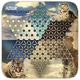 Amur Chinese Checkers