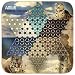 Amur Chinese Checkers Amur Chinese Checkers