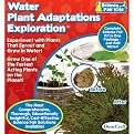 DuneCraft Water Plant Adaptations Exploration - Small