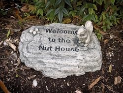 Welcome To The Nuthouse Stone - Gray [Kitchen]