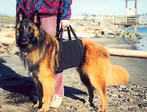 Walkabelly Support Harness (small)