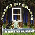 Why There Are Mountains