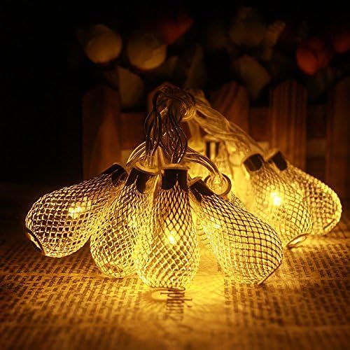 LNSEA String Lights,3.5M 20 LED 110V Golden Mesh Teardrop Orb LED Fairy Lights Curtain Light for Wedding, Christmas Tree, Halloween, Party Aluminum Globe String Lights(Warm White)