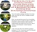 The Ultimate How To Earn Extra Money, Marketing and Success Principles for Oil & Blemish Control Systems Web Biz 3 Course + Resource Guide