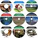 Next Generation 9 CD No Money Down, Millionaire Making Real Estate Course