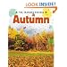 Autumn (The Changing Seasons)