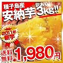 訳あり！ 安納芋 土付き約3kg 送料無料 1980円(税別)