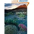 Little Big Bend: Common, Uncommon, and Rare Plants of Big Bend National Park (Grover E. Murrray Studies in the American Southwest) (Grover E. Murrray Studies ... Murrray Studies in the American Southwest)
